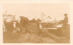 E54/ Occupational Real Photo RPPC Postcard c1920 Farming Farmer Horse Wheat? 3