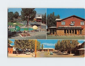 Postcard Harolds Pony Express Lodge, Reno, Nevada