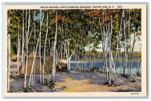 c1940's White Birches, State Camping Grounds, Tupper Lake NY Postcard 