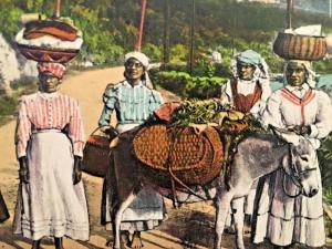 Postcard Greetings from Jamaica  Coming to Market,showing Rockfort, Jamaica Y1