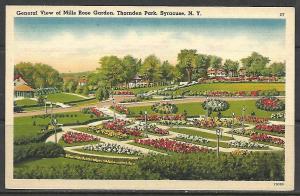 New York, Syracuse - Mills Rose Garden - Thornden Park - [NY-102]