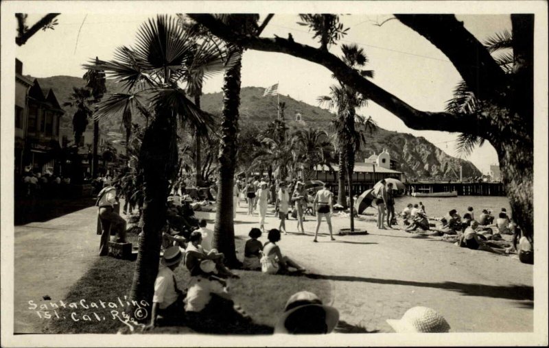 Santa Catalina Island California CA Tourists Palm Trees Real Photo Postcard