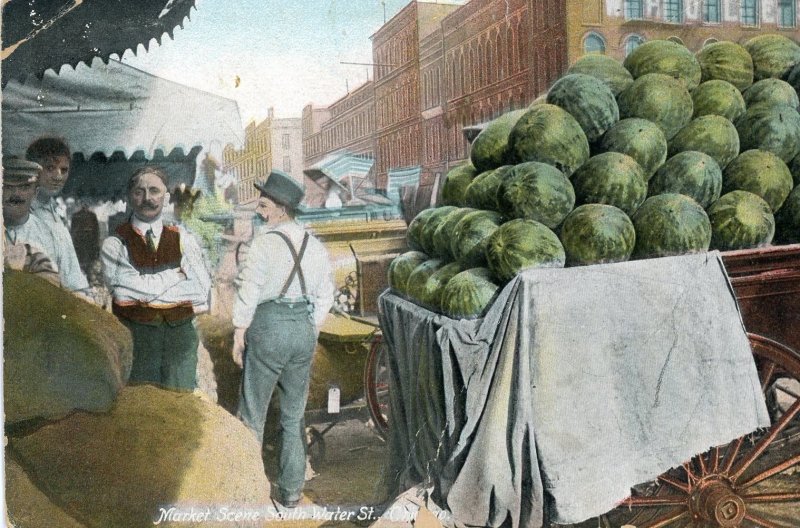Postcard Early View of a Market Scene on Water Street, NY.   aa6