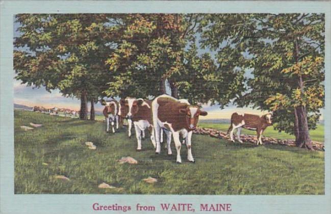 Maine Greetings From Waite