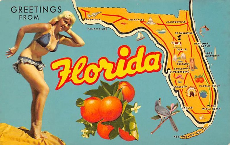 Greetings From Florida Oranges State Map FL