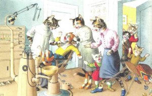 ALFRED MAINZER  Dressed Cats  #4872   DENTIST VISIT  Anthropomorphic  Postcard