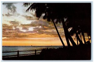 c1960 Hawaiian Sunset Lure Islands Pine Tree Setting Union Oil Companys Postcard