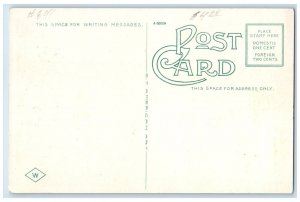 c1920 Second Street Night Moon Moonlight Hastings Nebraska NE Unposted Postcard