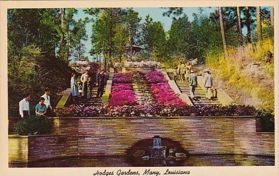 Louisiana Many Hodges Gardens Steps Hippostcard