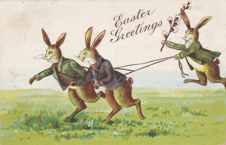 Rabbit Chasing Two Rabbits with Pussy Willow Whip - Easter Greetings - DB |  Topics - Holidays & Celebrations - Easter, Postcard