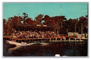 Photo Stadium Cypress Gardens Florida Water Skiers Postcard