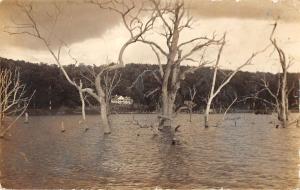 Ozark Beach Missouri Waterfront Scenic Real Photo Antique Postcard K25933