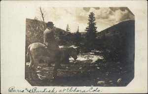 Eldora CO Burro and Burdick Gentleman on Donkey c1910 Real Photo Postcard