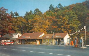 Hewitt New Jersey Trout Brook Rest Stop, Gas Pumps Shown Vintage Postcard U10603