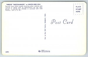 White Bird Hill  Idaho  Postcard