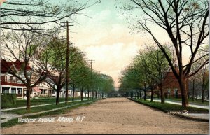 Albany, New York Western Avenue, Grove of Young Trees, Large Brick Homes-A33 