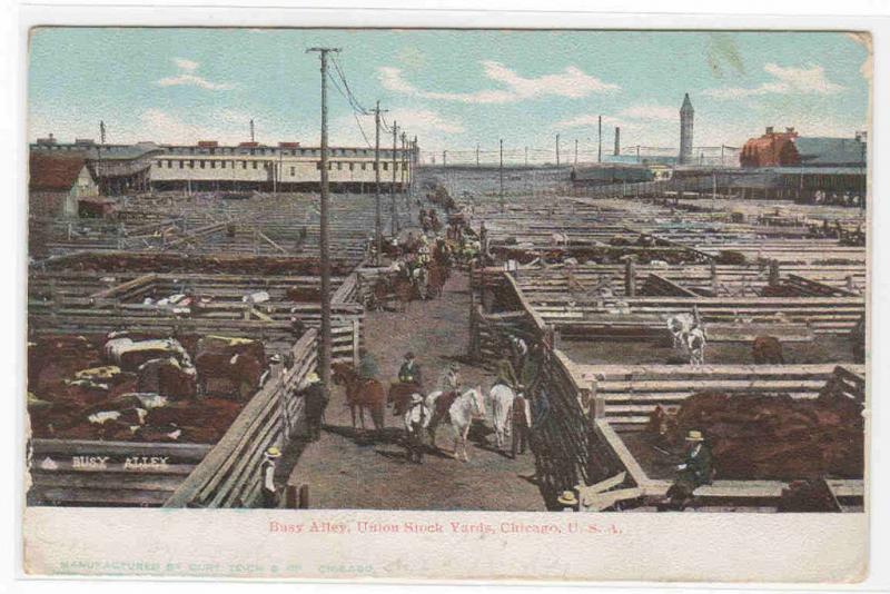 Busy Alley Union Stock Yards Chicago Illinois 1905 postcard 
