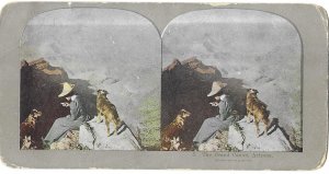 Stereoview Card View  Grand (Cannon) Canyon Arizona Lady & Two Dogs