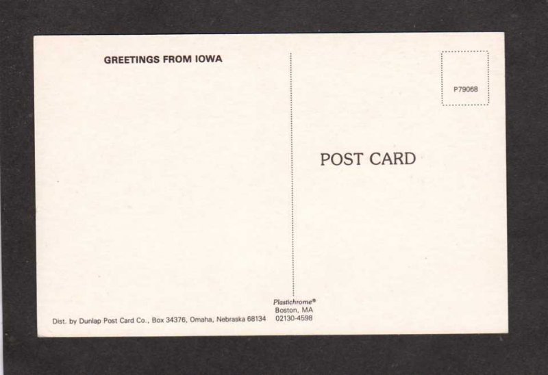 IA Greetings From Iowa Postcard Corn Tractor Cows Corn Stalks