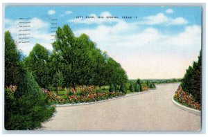 1966 Scenic View Garden City Park Big Springs Texas TX Vintage Antique Postcard