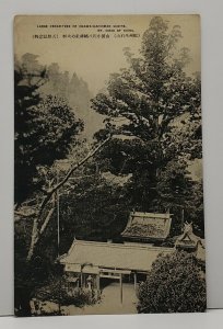 MT OISHI OF KISHU LARGE CEDAR TREE OF OGAWA-HACHIMAN SHRINE Postcard G10