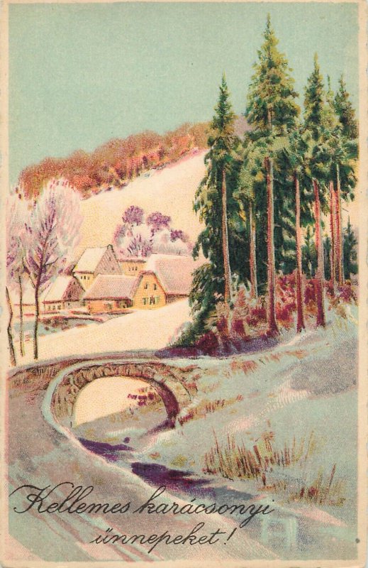 Holidays & celebrations seasonal greetings Christmas scenery wood Hungary 1923