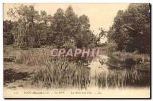 Old Postcard Fontainebleau La Foret La Mare Aux Fees