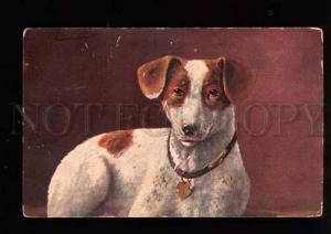 3038222 JACK RUSSELL TERRIER Fox-Terrier by MULLER vintage PC