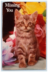 The North Shore Animal League Abandoned Cat Finds New Home Missing You Postcard 