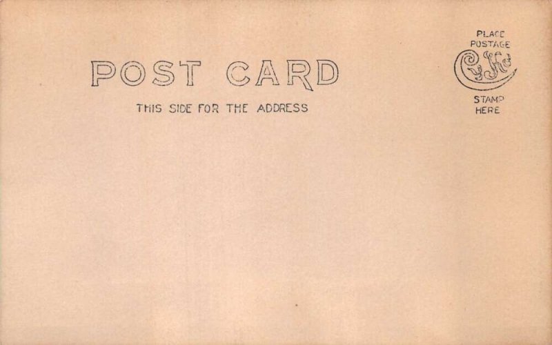 Lady in Costume Dressed as Geisha Real Photo Vintage Postcard AA72335