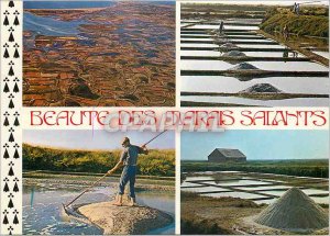 Modern Postcard The Salterns Wealth di Country Guérandais