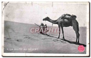 Old Postcard Algeria Stop In The Desert Camel Camel