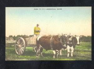 OXFORD MAINE OXEN DRAWN TWO WHEEL WAGON VINTAGE POSTCARD