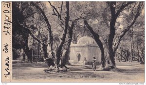 BLIDA, Le Bois Scare, Algeria, 10-20s