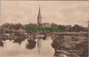 Wiltshire Postcard - Salisbury Cathedral From The River  RS36323