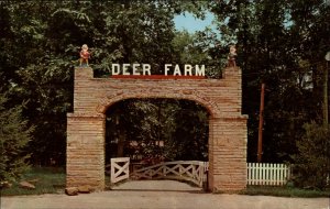 Santa Claus IN Indiana Deer Farm Entrance c1950-60s Vintage Postcard