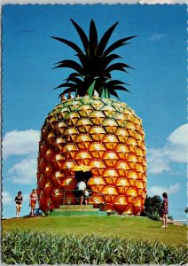 The Big Pineapple near Nambour Queensland Australia Postcard C9