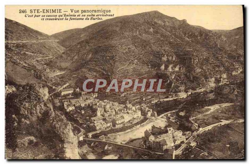 Old Postcard Gorges du Tarn Ste Enimie Panoramic