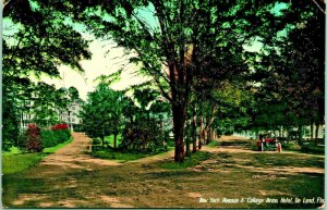 College Arms Hotel New York Avenue De Land Deland Florida FL 1910 Postcard 