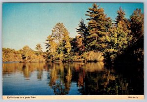 Reflections In A Quiet Lake, Somewhere Canada, Chrome Postcard #2