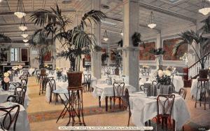 Washington DC~Ferns in Tall Planters~Stairwell @ National Hotel Postcard 1913