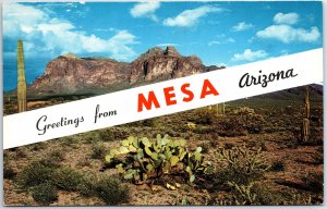 VINTAGE POSTCARD THE SUPERSTITION MOUNTAIN RANGE AND CACTUS SCENE MESA ARIZONA