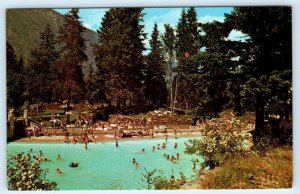 NELSON, British Columbia Canada ~ GYRO PARK Swimming Pool c1960s Postcard