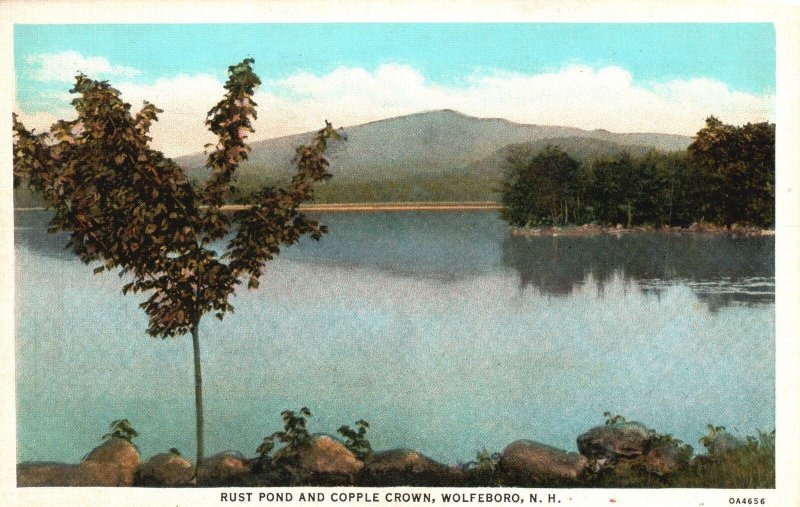 Vintage Postcard Rust Pond and Copple Crown Lake Wolfeboro New Hampshire APC Pub