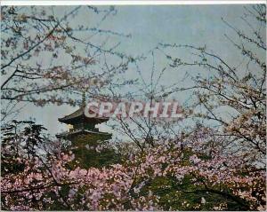 Modern Postcard Yokohama Sankei City on Park is a Private Garden