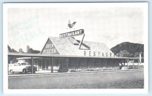 PIGEON FORGE, Tennessee TN ~ Roadside GREEN PIGEON RESTAURANT c1950s Postcard