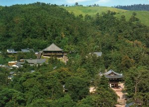 Nigatsudo Temple,Nara,Japan