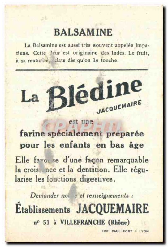 Image Bledine Balsamine