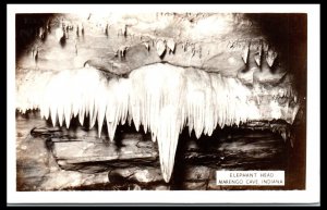 1930s Elephant Head Marengo Cave IN Grogan Real Photo Postcard