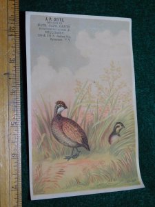 1870s-80s J P Deitz Hats Caps Gents Ducks in Grass Victorian Trade Card #O